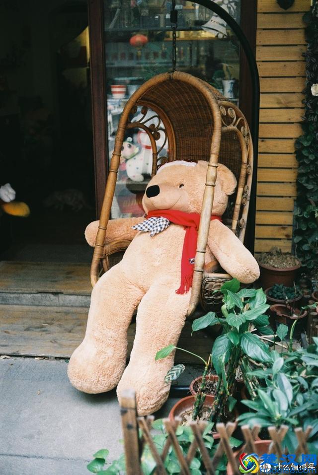 兜兜转转，我为何还是钟爱卡片机？