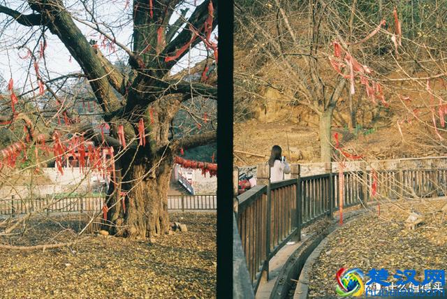 兜兜转转，我为何还是钟爱卡片机？