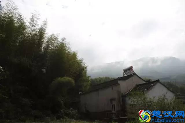 藏在蚁巢深处的蚁王蚁后,竟然出现在旌德这户村民家中