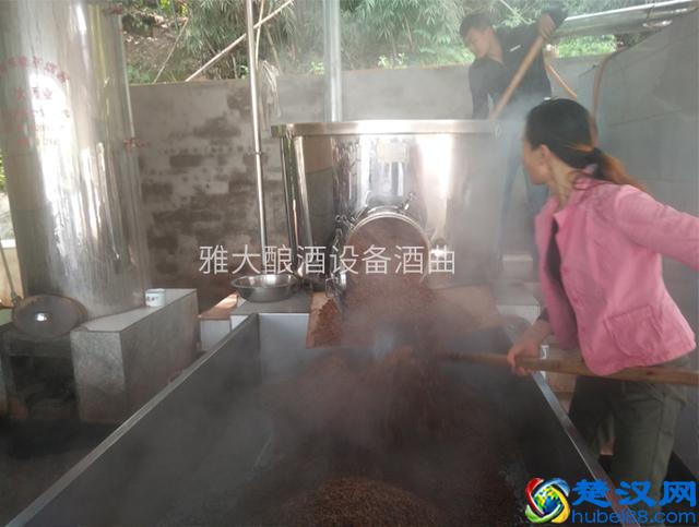 秋冬酿酒，用怎样的做白酒的设备酿酒口感好、出酒率高？