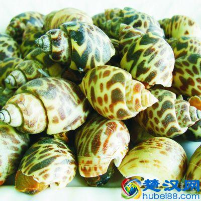 月经期间不能吃什么