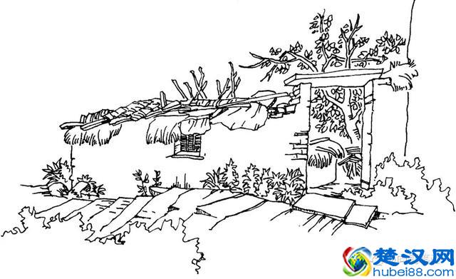 入门宝典158 三角对比法……三角对比观察法怎么样的?