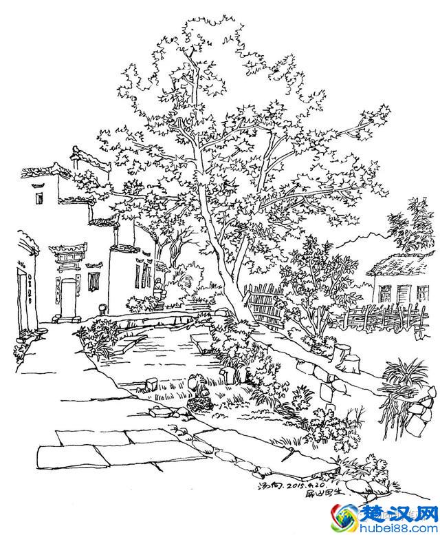 入门宝典158 三角对比法……三角对比观察法怎么样的?