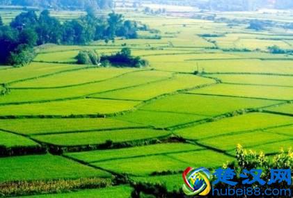 可持续发展的基础条件目的与三原则