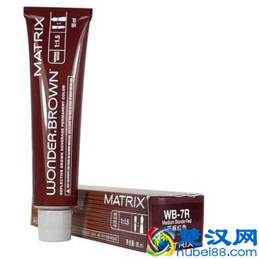 中国染发剂十大品牌排行榜