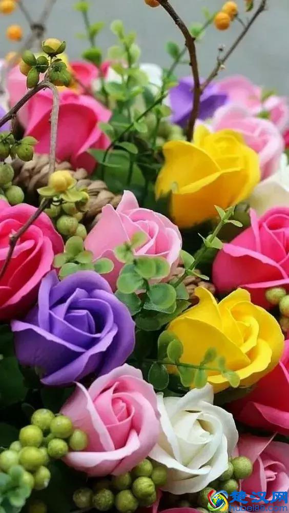 今天7月5日，最美花，送给我最在乎的朋友！