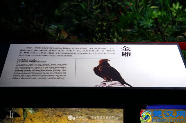 解密博物馆，期待新安康