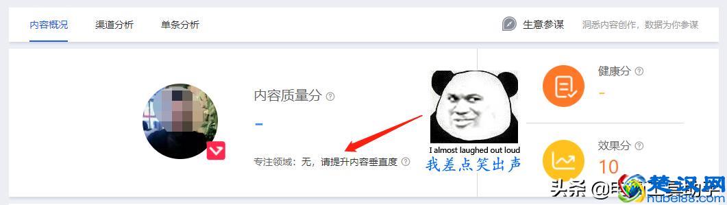 淘宝微淘养成玩法，帮助你秒成达人