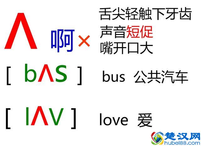 48个英语音标怎么读？这套音标卡片真清楚！