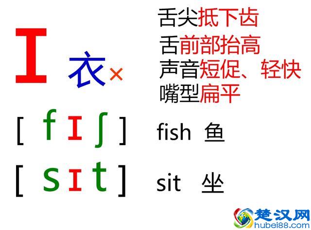 48个英语音标怎么读？这套音标卡片真清楚！