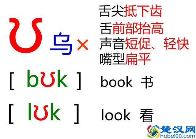 48个英语音标怎么读？这套音标卡片真清楚！