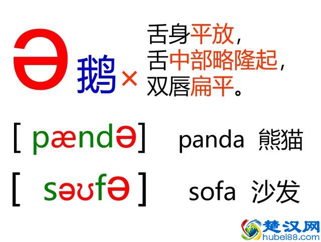 48个英语音标怎么读？这套音标卡片真清楚！