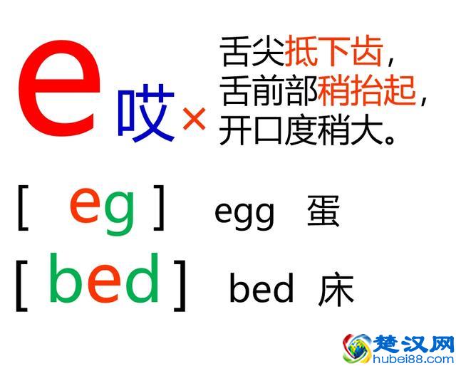 48个英语音标怎么读？这套音标卡片真清楚！