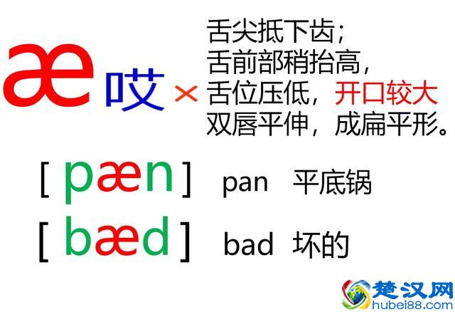 48个英语音标怎么读？这套音标卡片真清楚！