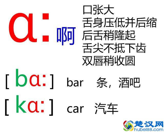 48个英语音标怎么读？这套音标卡片真清楚！