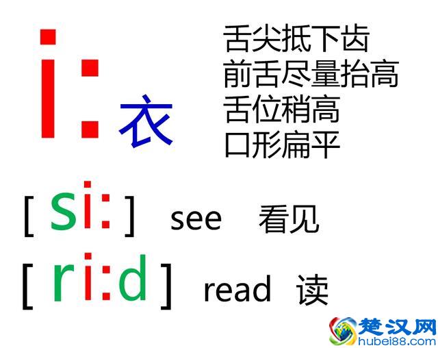 48个英语音标怎么读？这套音标卡片真清楚！