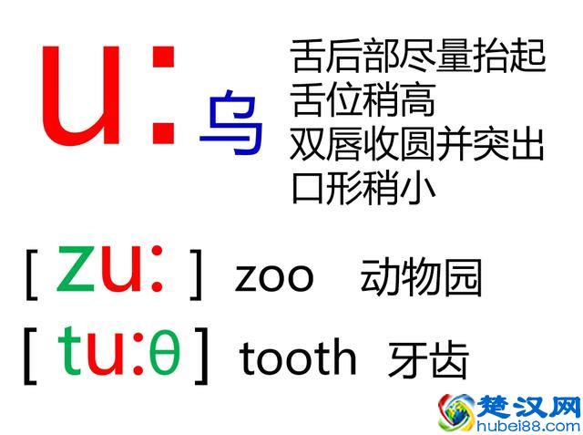 48个英语音标怎么读？这套音标卡片真清楚！