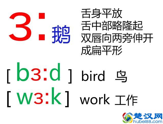 48个英语音标怎么读？这套音标卡片真清楚！