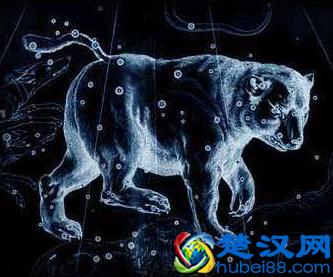 春季最显眼的是北斗七星，他们是属于大熊座