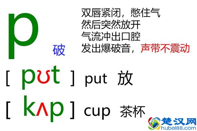 48个英语音标怎么读？这套音标卡片真清楚！