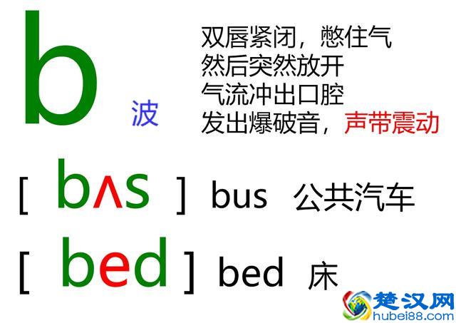 48个英语音标怎么读？这套音标卡片真清楚！