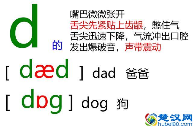 48个英语音标怎么读？这套音标卡片真清楚！