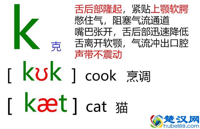 48个英语音标怎么读？这套音标卡片真清楚！