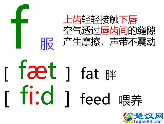 48个英语音标怎么读？这套音标卡片真清楚！