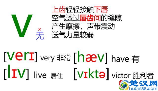 48个英语音标怎么读？这套音标卡片真清楚！