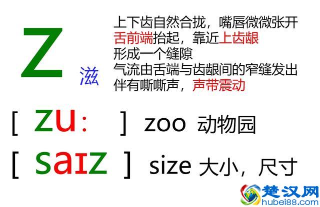48个英语音标怎么读？这套音标卡片真清楚！