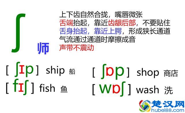 48个英语音标怎么读？这套音标卡片真清楚！