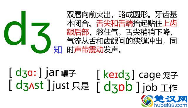 48个英语音标怎么读？这套音标卡片真清楚！