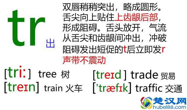 48个英语音标怎么读？这套音标卡片真清楚！