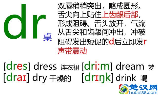 48个英语音标怎么读？这套音标卡片真清楚！
