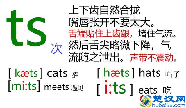 48个英语音标怎么读？这套音标卡片真清楚！