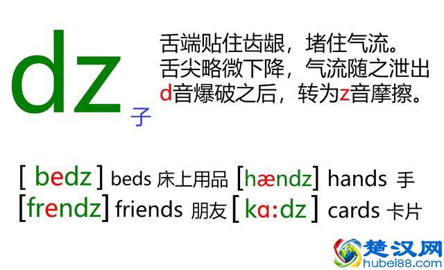 48个英语音标怎么读？这套音标卡片真清楚！