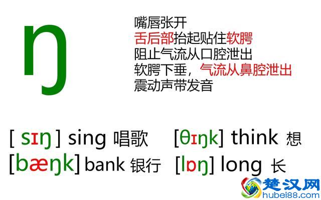 48个英语音标怎么读？这套音标卡片真清楚！