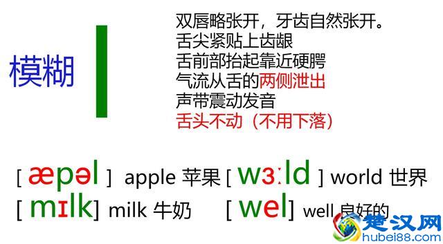 48个英语音标怎么读？这套音标卡片真清楚！