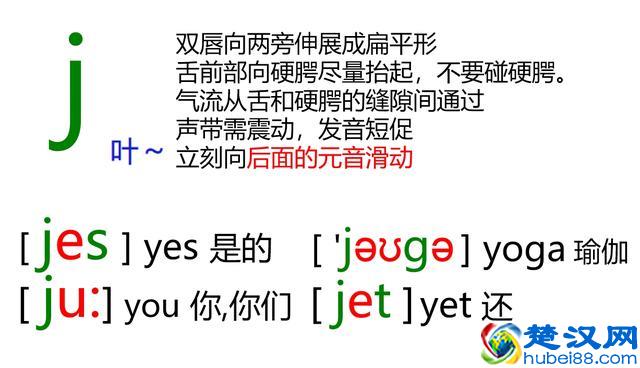 48个英语音标怎么读？这套音标卡片真清楚！