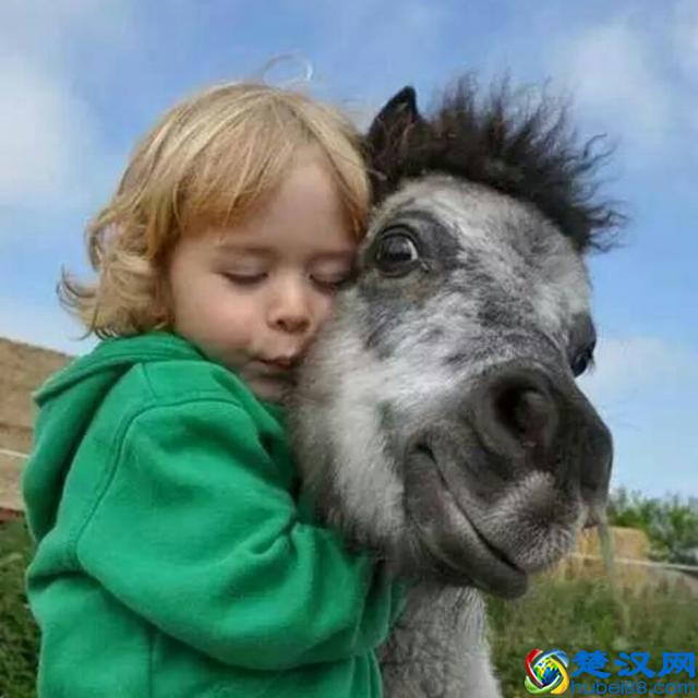 有趣的神回复，太幽默了！