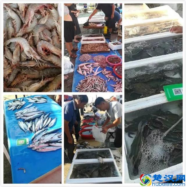 烟台海鲜便宜了！最新的海产品价格出炉！