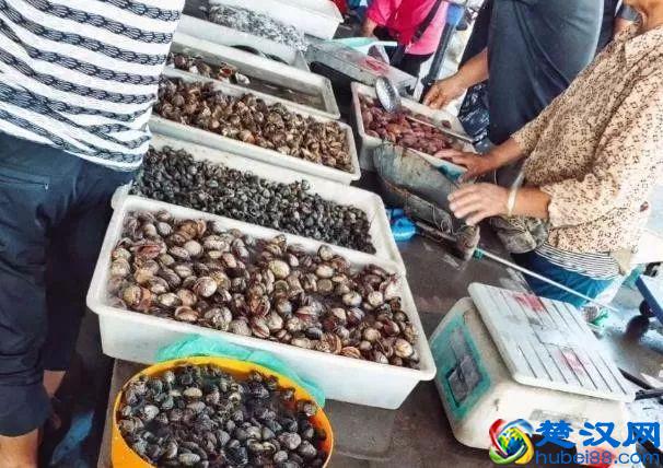 烟台海鲜便宜了！最新的海产品价格出炉！