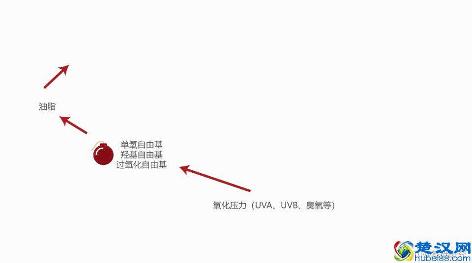 10几块钱的大宝SOD蜜，其实很不错