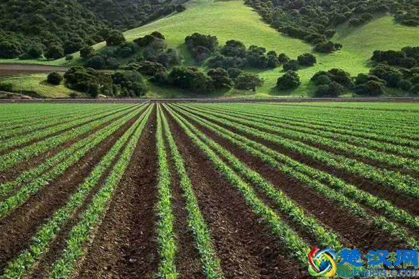 农村一亩地等于多少平方米？农村土地单位换算小技巧