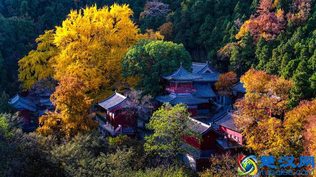 山东省三大名山泰山、沂山、崂山