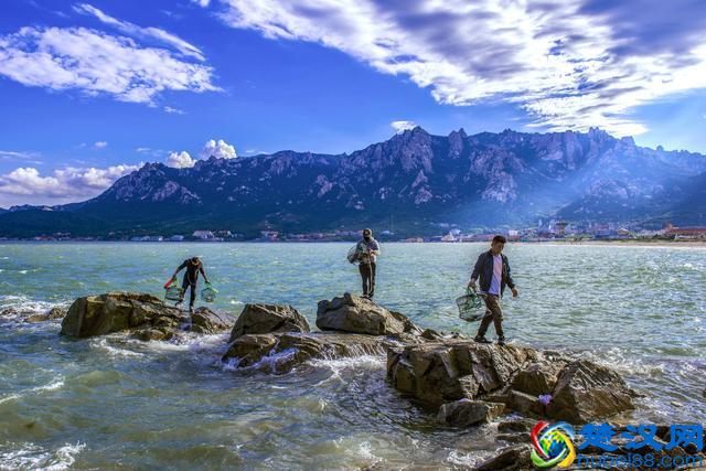 山东省三大名山泰山、沂山、崂山