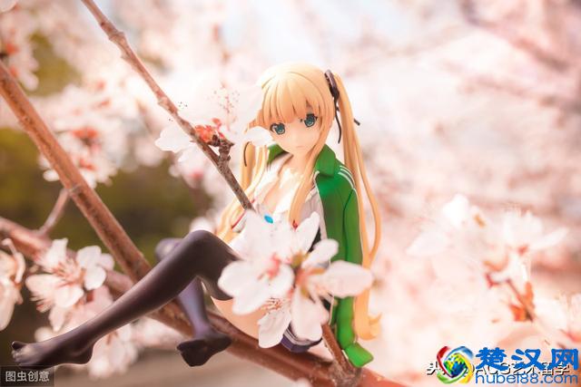 ACG文化是什么呢？