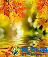 四十岁，人生的不惑之年