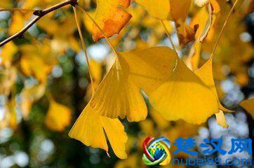 四十岁，人生的不惑之年