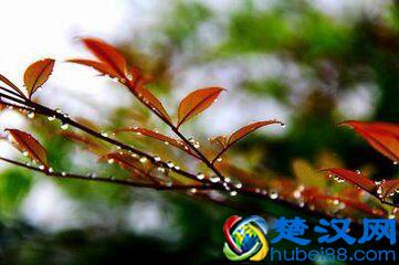 四十岁，人生的不惑之年